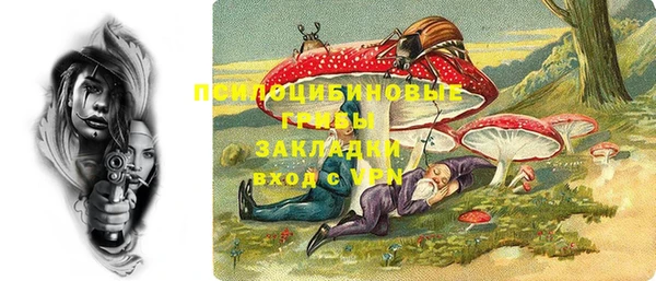 ПСИЛОЦИБИНОВЫЕ ГРИБЫ Абдулино