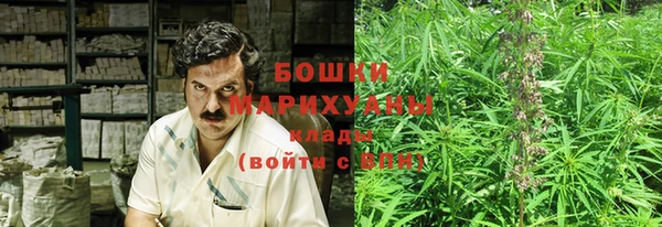 ПСИЛОЦИБИНОВЫЕ ГРИБЫ Абдулино
