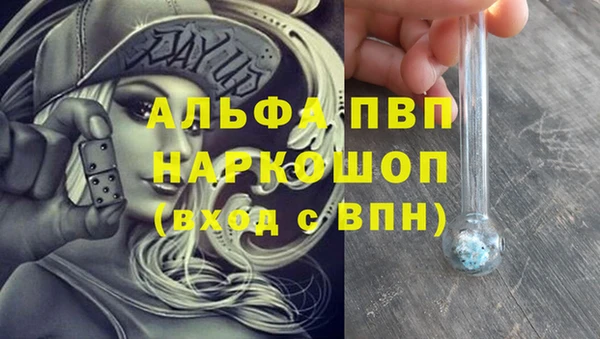 гашик Магас