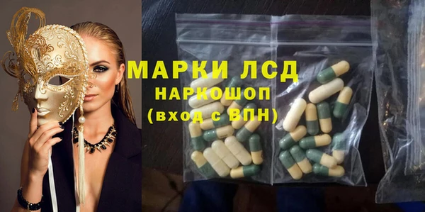 дживик Майский
