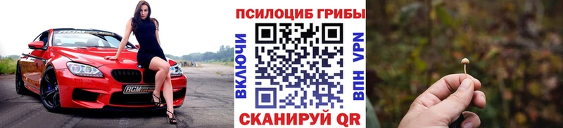 Псилоцибиновые грибы прущие грибы  Электроугли 